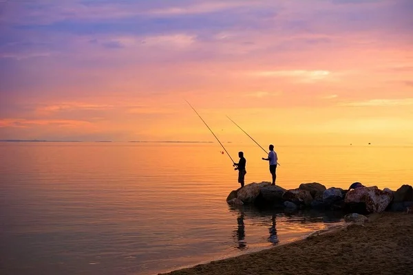Mơ thấy câu cá đánh con gì?
