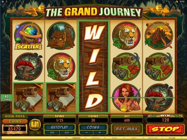 Biểu tượng Wild nhiều sẽ giúp người chơi gia tăng tỷ lệ thắng