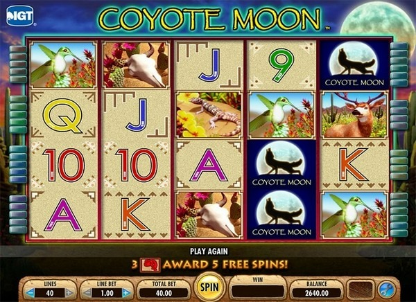Dù có đồ họa đẹp nhưng tỷ lệ trả thưởng bất hợp lý đã khiến Coyote Moon có thể trở thành “thảm họa”