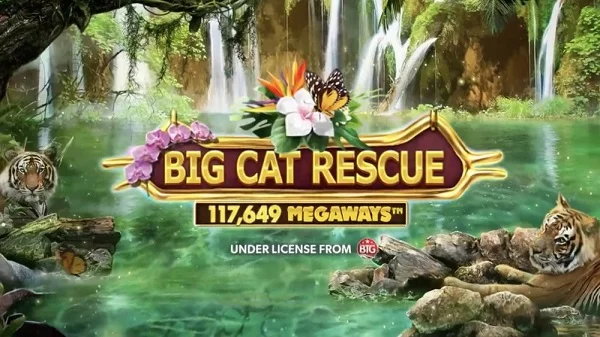 Big Cat Rescue Megaways là một thể loại game slot thú vị