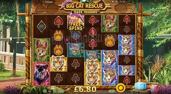 Game Big Cat Rescue Megaways có cách chơi không quá khó khăn