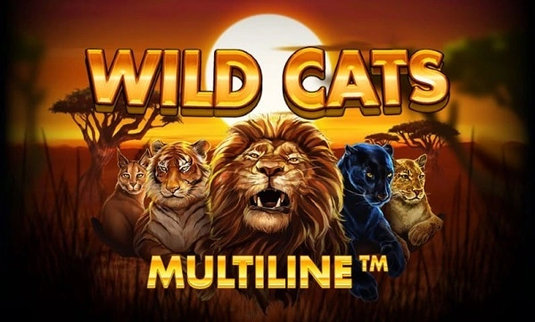 Wild Cats Multiline là một trong những thể loại slot game có cách chơi đơn giản