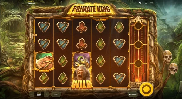 Các tính năng trả thưởng trong Primate King