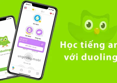 Ứng dụng Duolingo học tiếng Anh miễn phí  thú vị