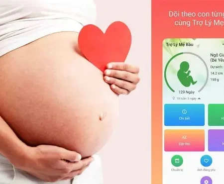 Ứng dụng Trợ lý mẹ bầu theo dõi thai kỳ, dự sinh chính xác