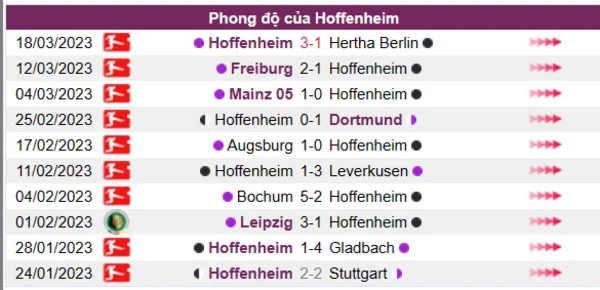 Nhận định phong độ CLB Hoffenheim