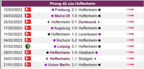 Nhận định phong độ CLB Hoffenheim