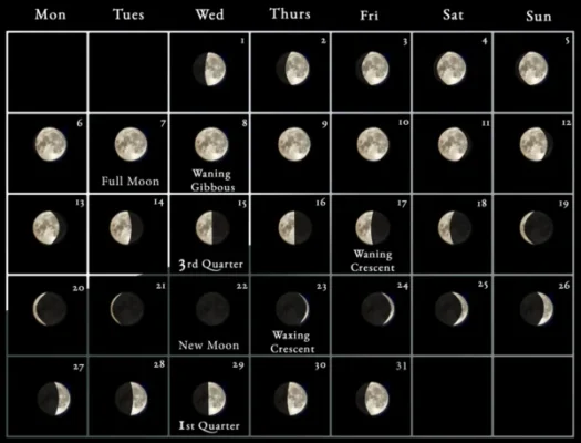 Ứng dụng cung cấp thông tin chi tiết về các chu kỳ trăng